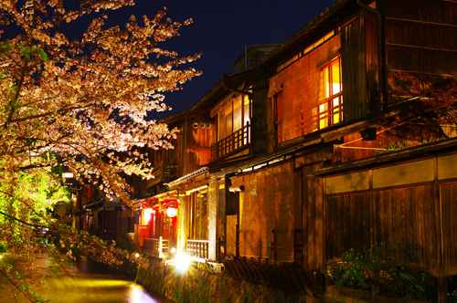 祇園白川と桜の夜景