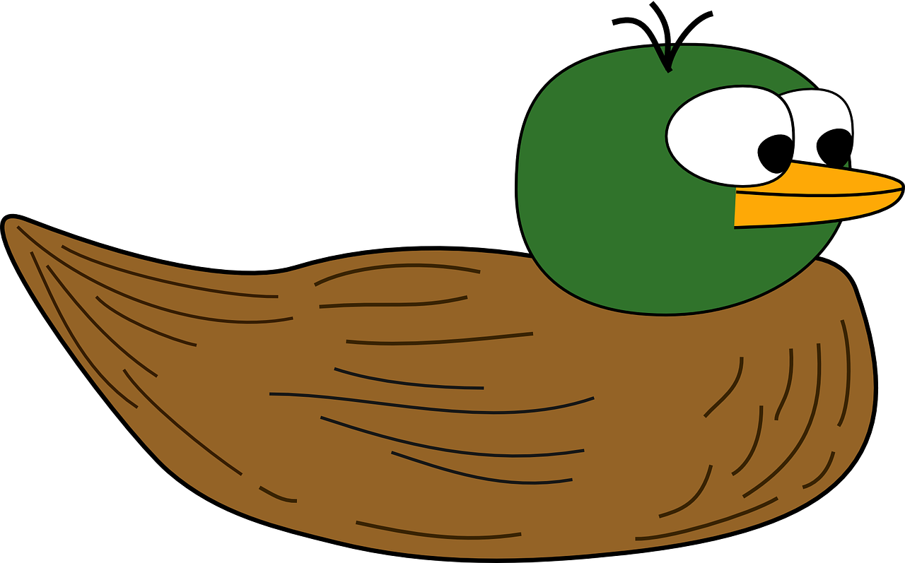duck-309898_1280.png