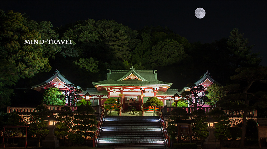 織姫神社　ライトアップ