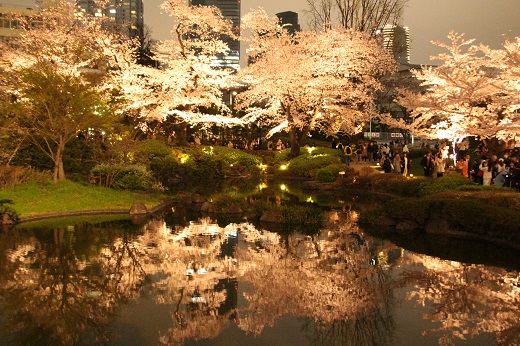 池に浮かぶ夜桜