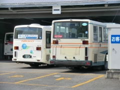日光交通5177号車っぽい車と旧西武7E車