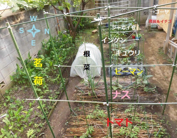 菜園の現状（図解）0514